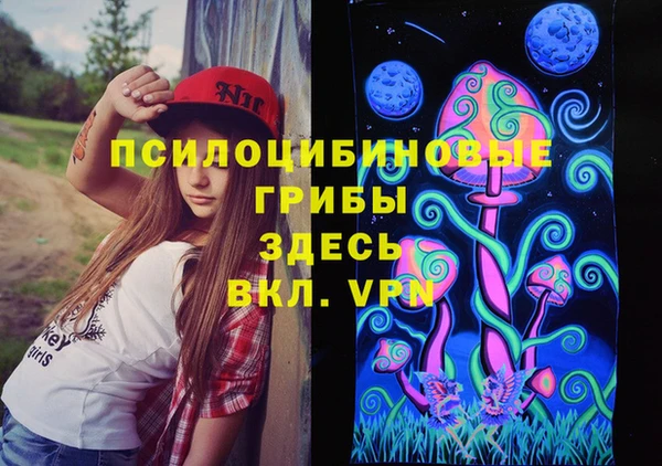 прущие крисы Заводоуковск