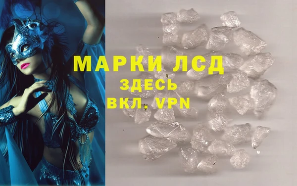 мяу мяу мука Елизово