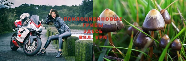 прущие крисы Заводоуковск