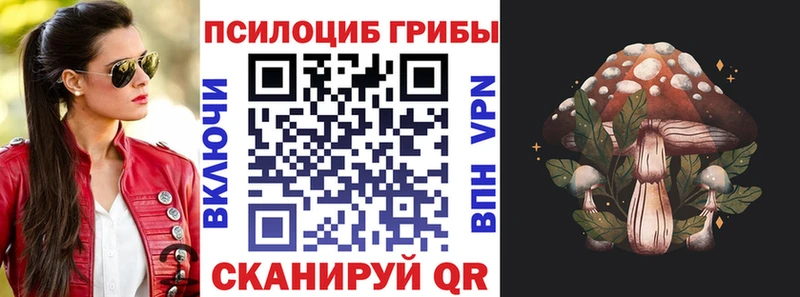 Купить  Урай  Псилоцибиновые грибы прущие грибы 